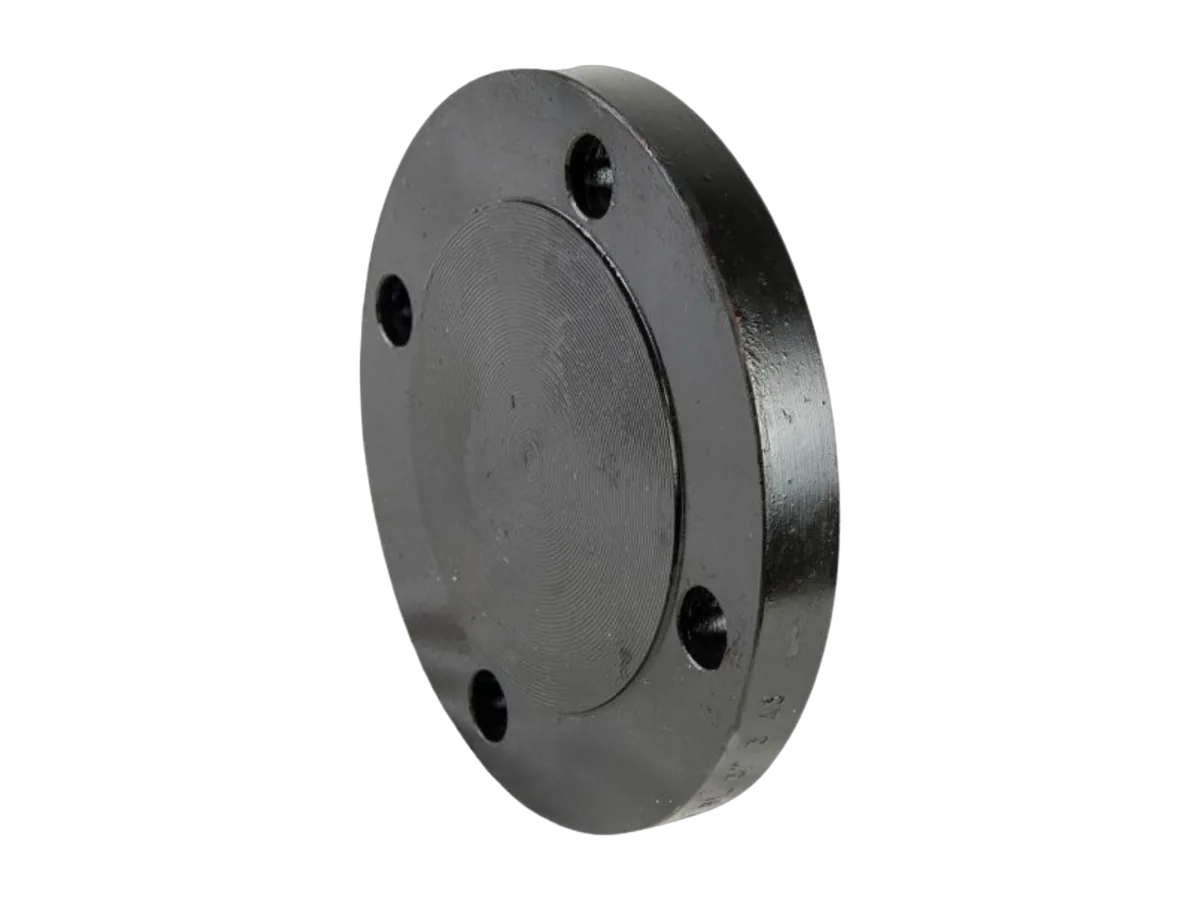 Blind Flanges view 2