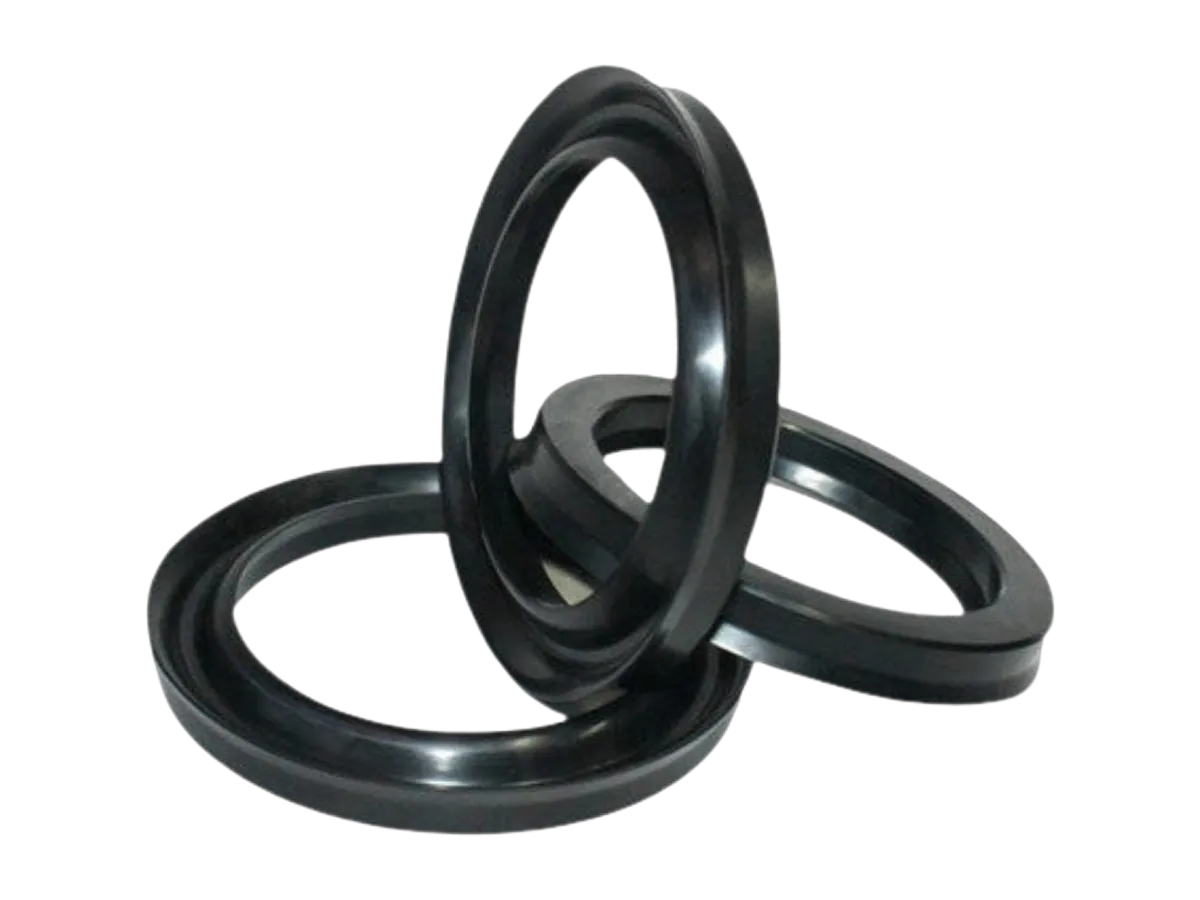 Gaskets view 2